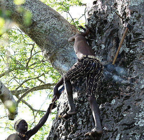 Hadzabe tribe