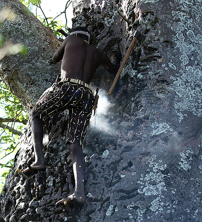 Hadzabe tribe