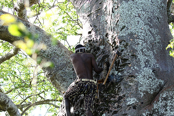 Hadzabe tribe