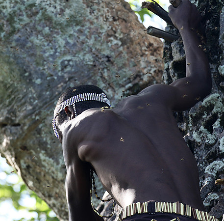 Hadzabe tribe