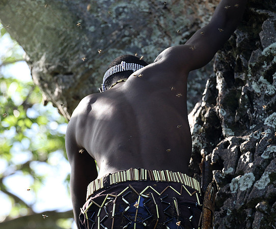 Hadzabe tribe