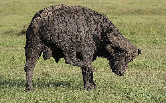 Grumeti Private Reserve