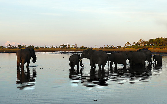 Delta of Okavango