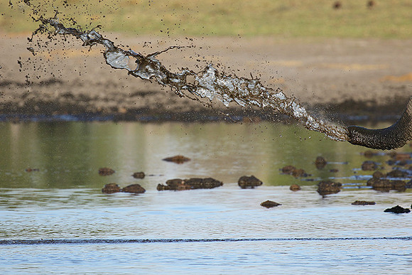 Delta of Okavango