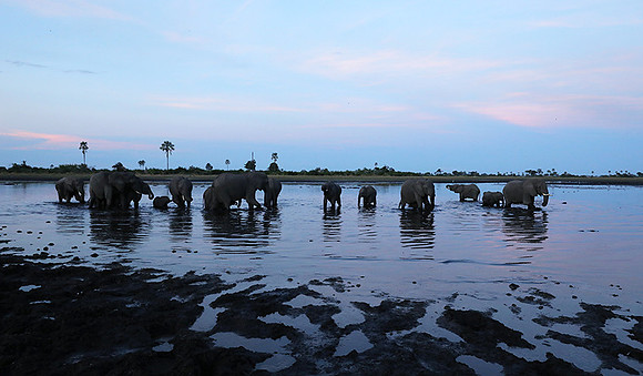 Delta of Okavango
