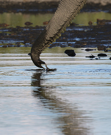 Delta of Okavango