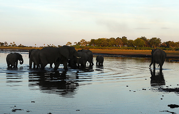 Delta of Okavango