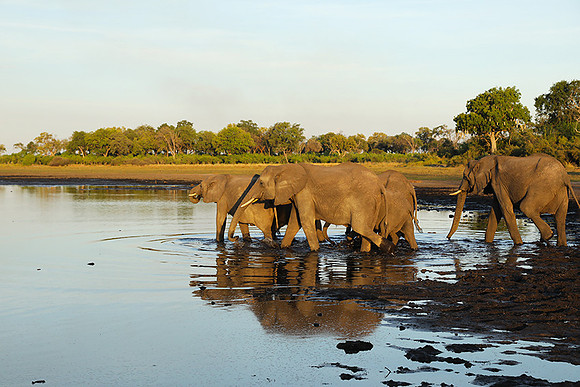 Delta of Okavango
