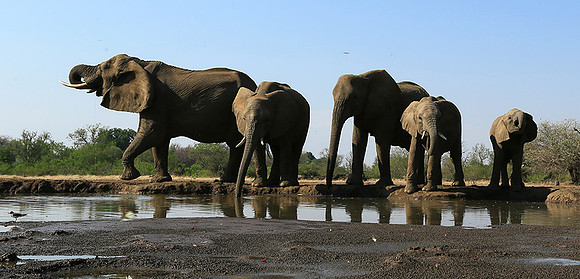 Mashatu game reserve
