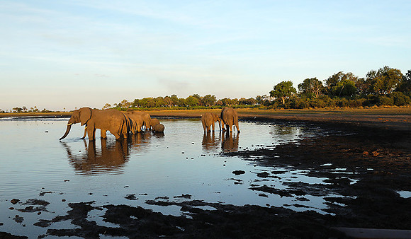 Delta of Okavango