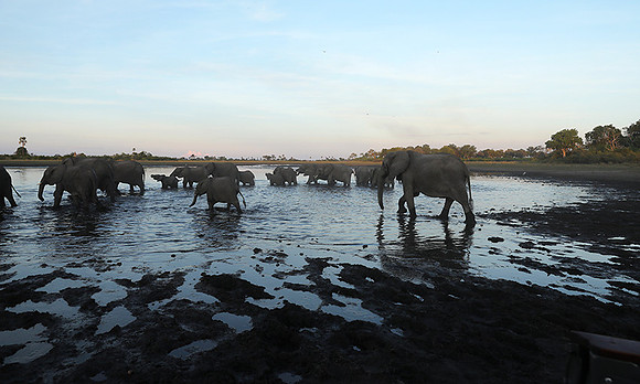 Delta of Okavango