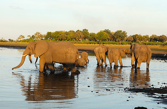 Delta of Okavango