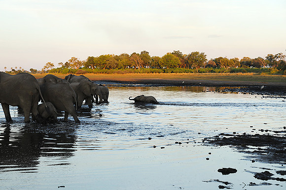Delta of Okavango