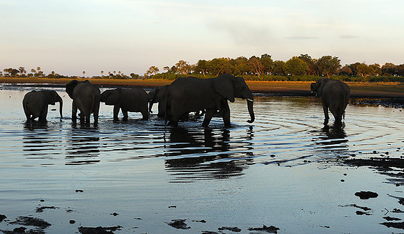 Delta of Okavango