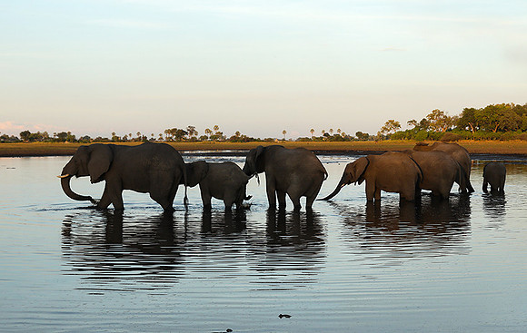 Delta of Okavango