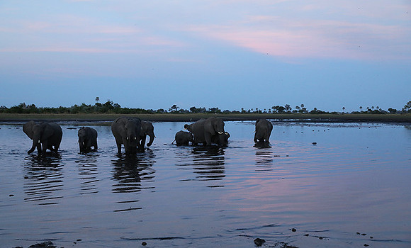 Delta of Okavango