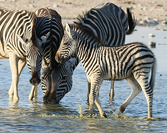 Makgadikgadi