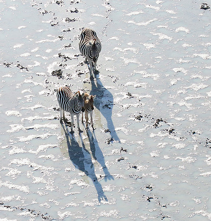 Helicopter flight over Sua Pan