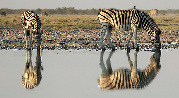 Makgadikgadi