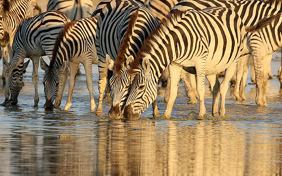 Makgadikgadi
