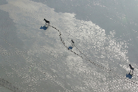 Flying over Sua Pan - Makgadikgadi