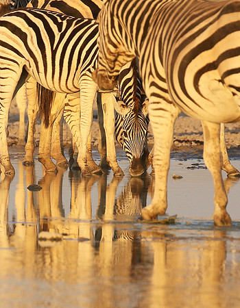 Makgadikgadi