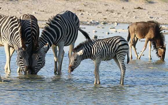 Makgadikgadi