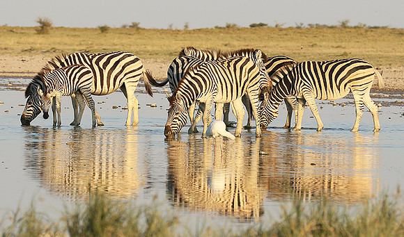 Makgadikgadi
