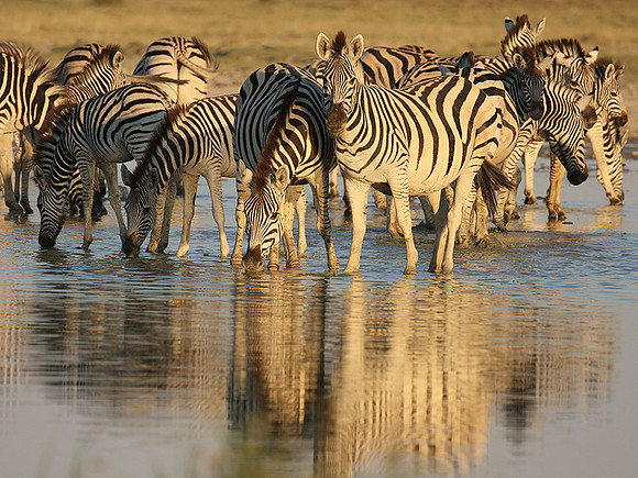 Makgadikgadi
