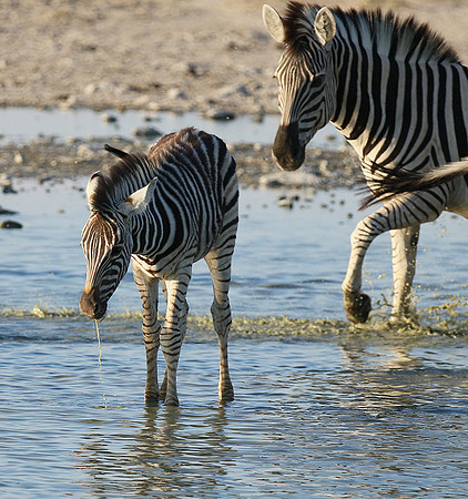 Makgadikgadi