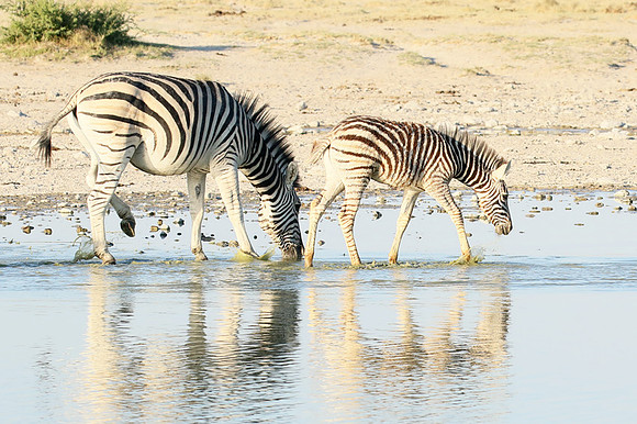 Makgadikgadi
