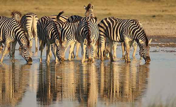Makgadikgadi