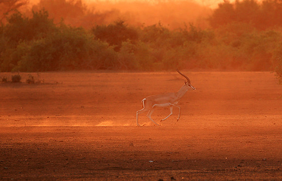 South Rift Valley - sunset in the dust