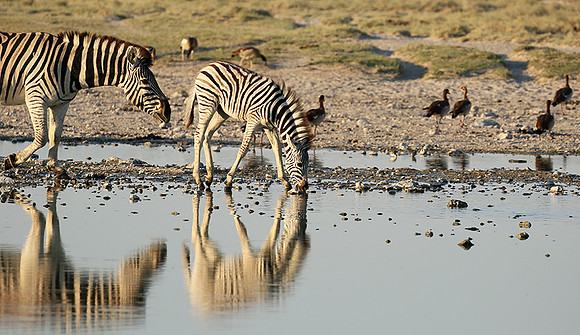 Makgadikgadi
