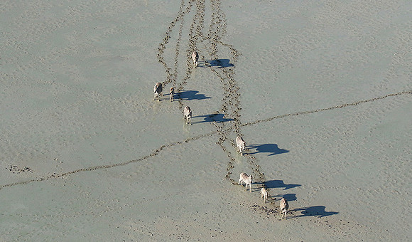 Flying over Sua Pan - Makgadikgadi