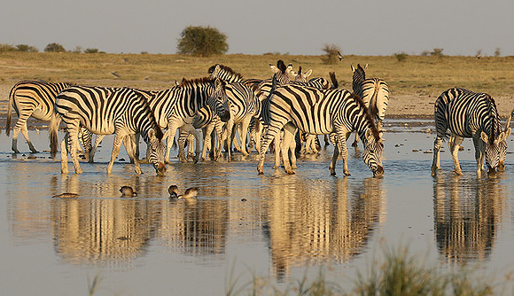 Makgadikgadi