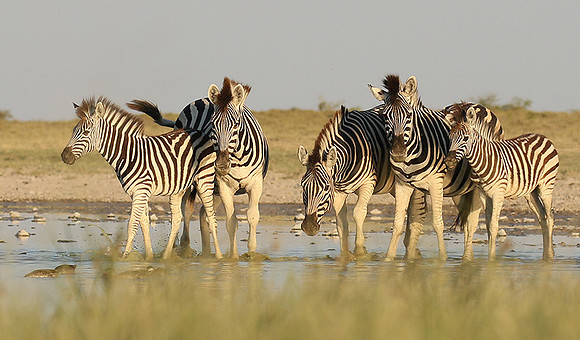 Makgadikgadi