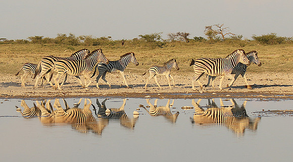 Makgadikgadi