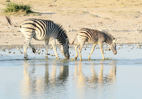 Makgadikgadi