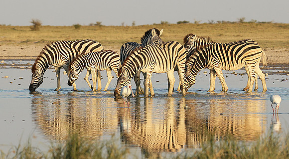 Makgadikgadi