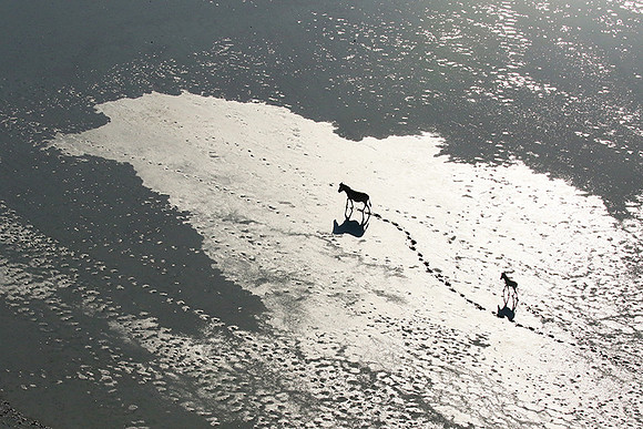 Flying over Sua Pan - Makgadikgadi