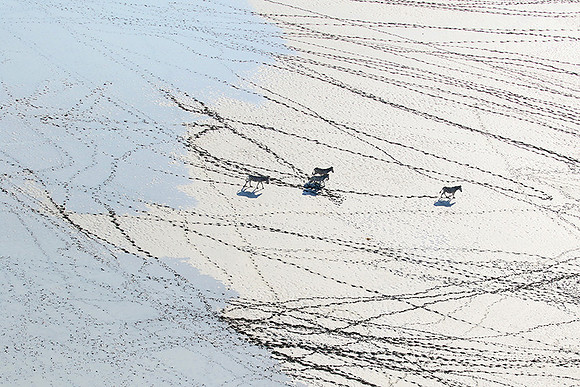 Flying over Sua Pan - Makgadikgadi