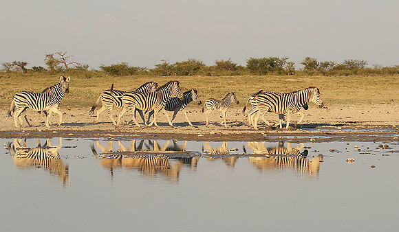 Makgadikgadi