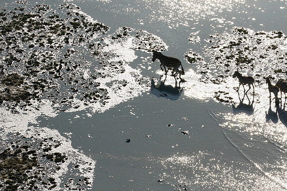 Flying over Sua Pan - Makgadikgadi