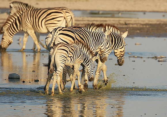 Makgadikgadi
