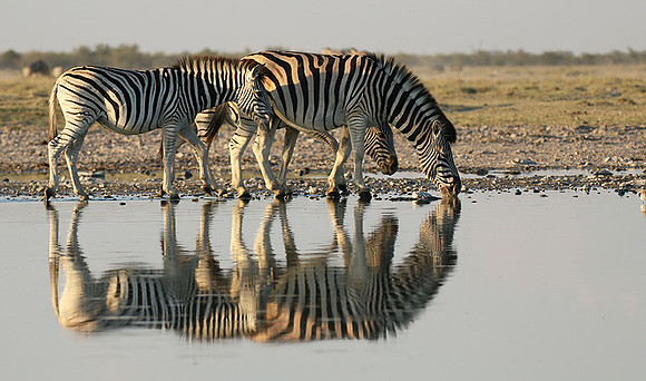 Makgadikgadi