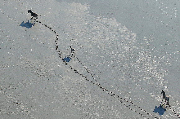 Helicopter flight over Sua Pan