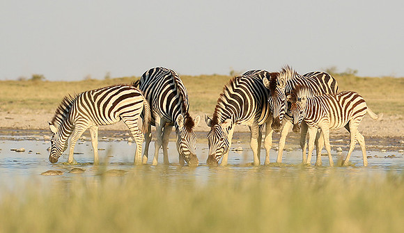 Makgadikgadi