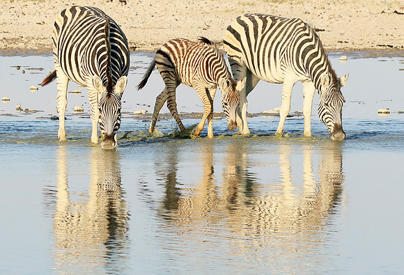 Makgadikgadi