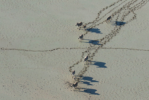 Flying over Sua Pan - Makgadikgadi